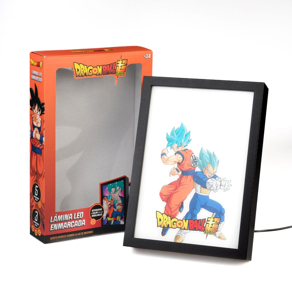 Dragon Ball Super Framed LED Print Grupo Erik