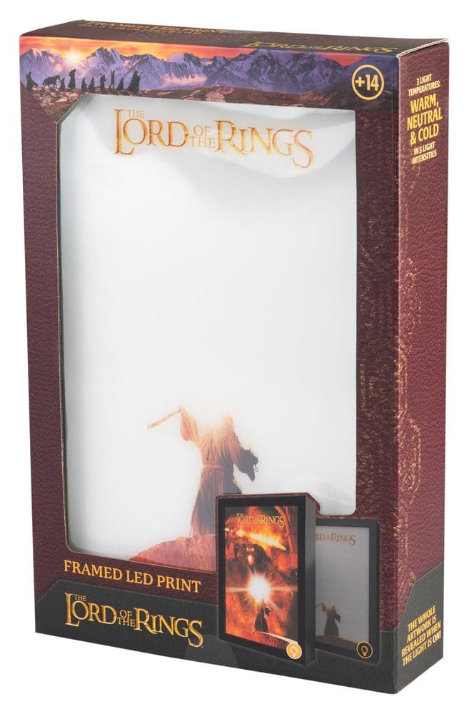 The Lord of the Rings Framed LED Panel Grupo Erik