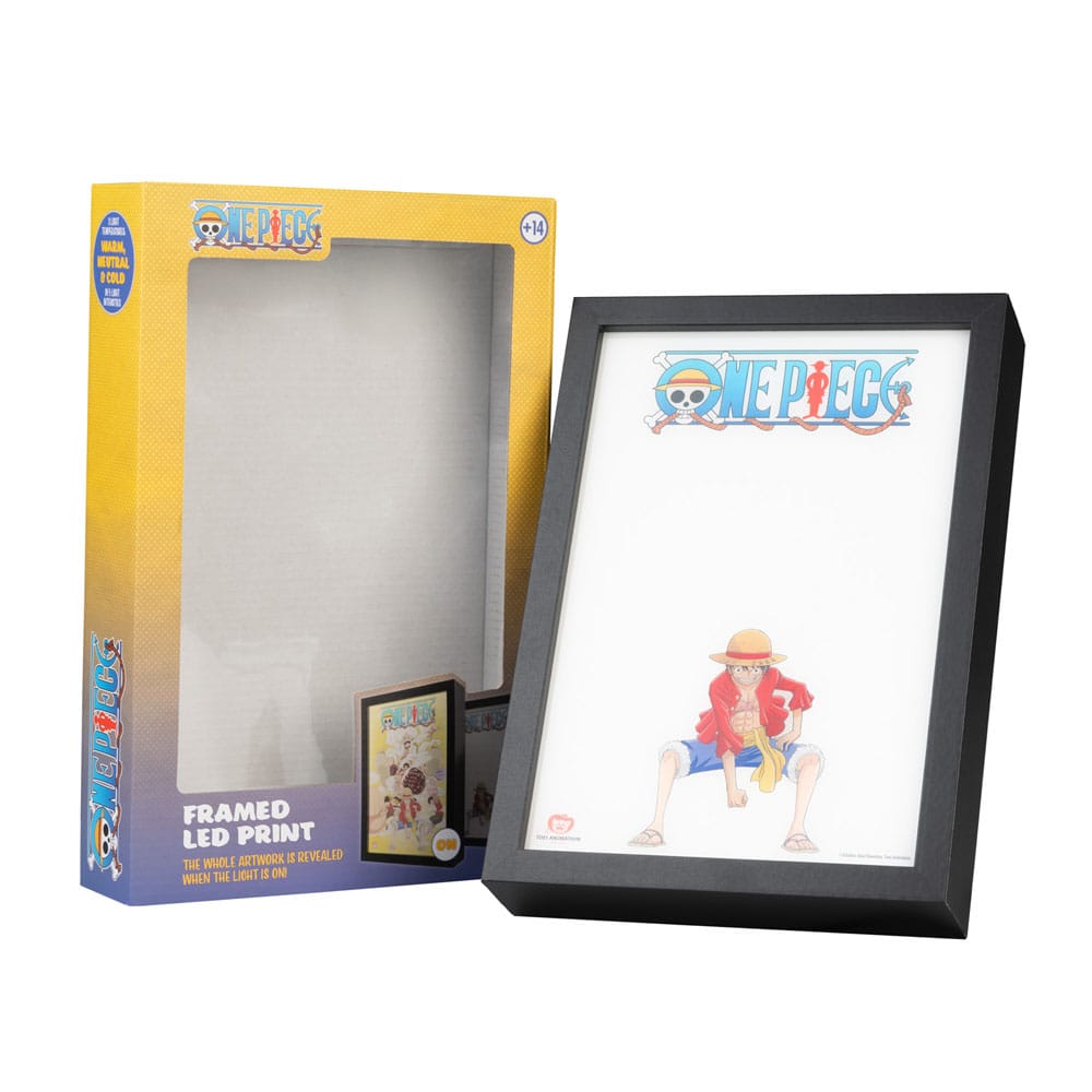 One Piece Framed LED Print Grupo Erik