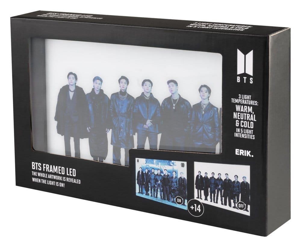 BTS Framed LED Print Grupo Erik