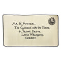 Harry Potter Carpet Letter of Acceptance Groovy