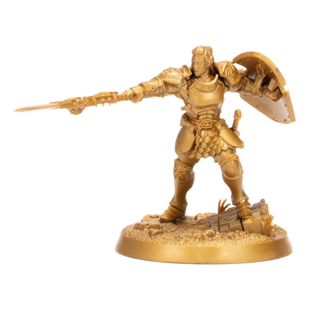 Warhammer Age of Sigmar Miniatures Warhammer Heroes Stormcast Eternals Display 8 Games Workshop
