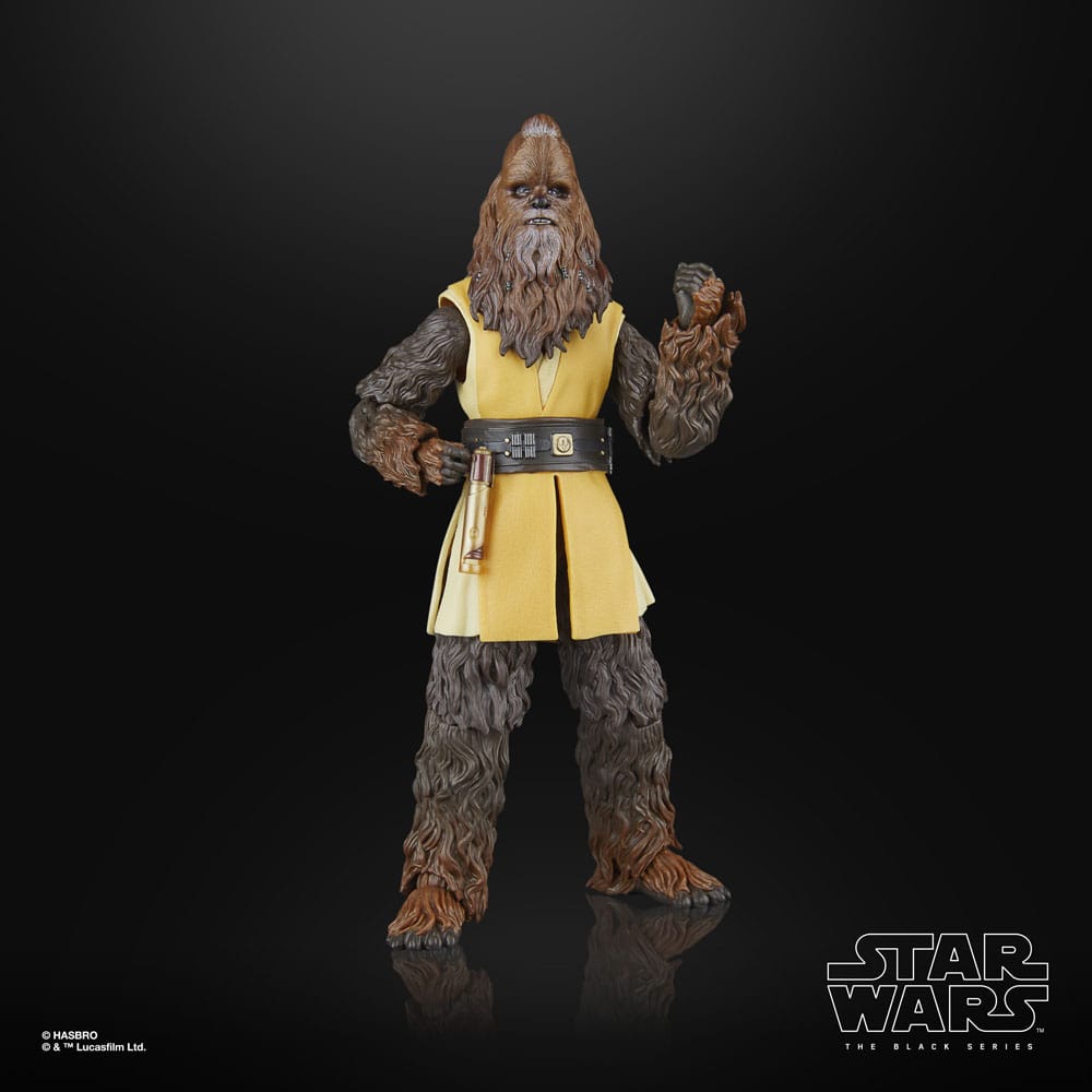 Star Wars The Acolyte Black Series Action Figure Jedi Master Kelnacca Hasbro
