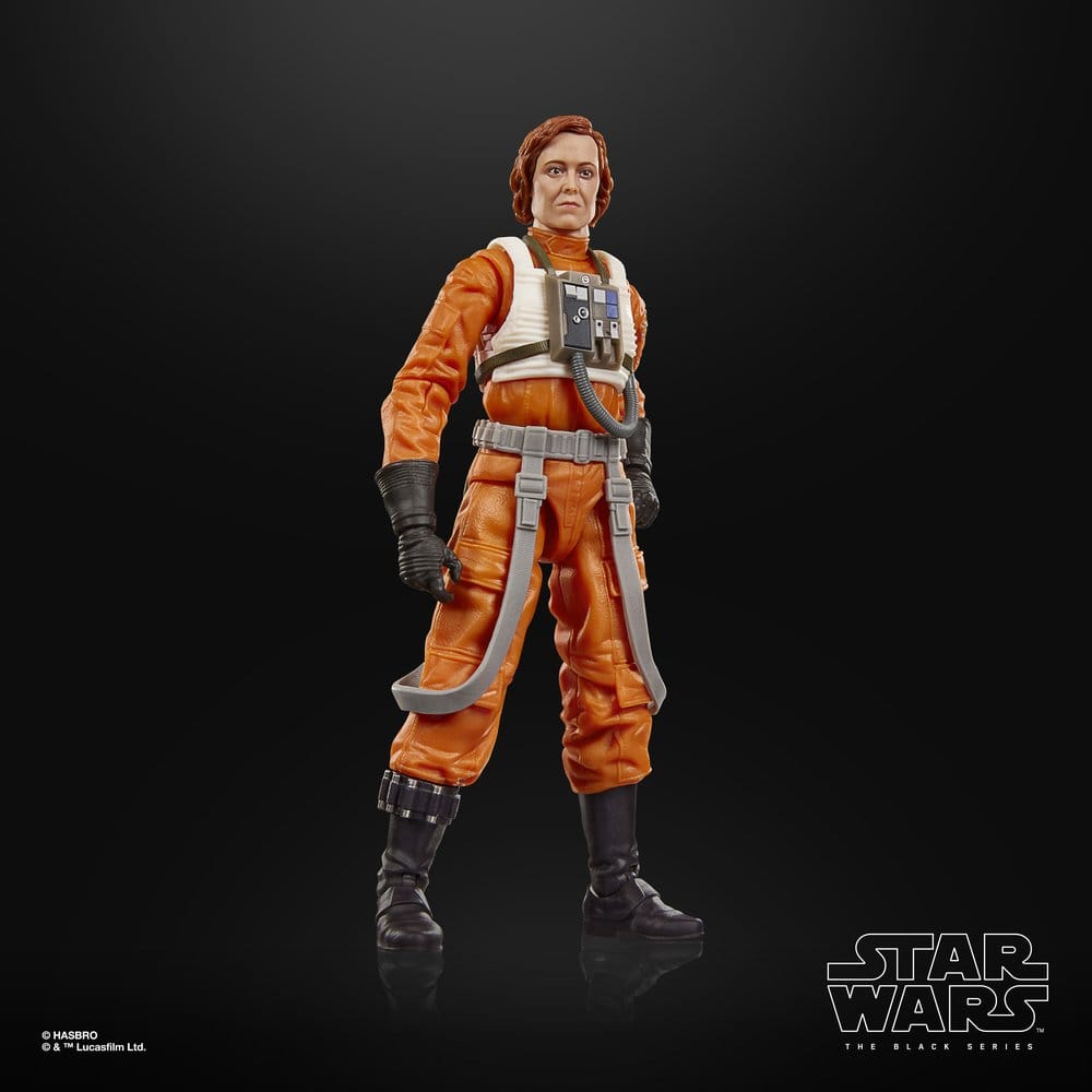 Star Wars The Mandalorian & Grogu Black Series Action Figure Colonel Ward Hasbro