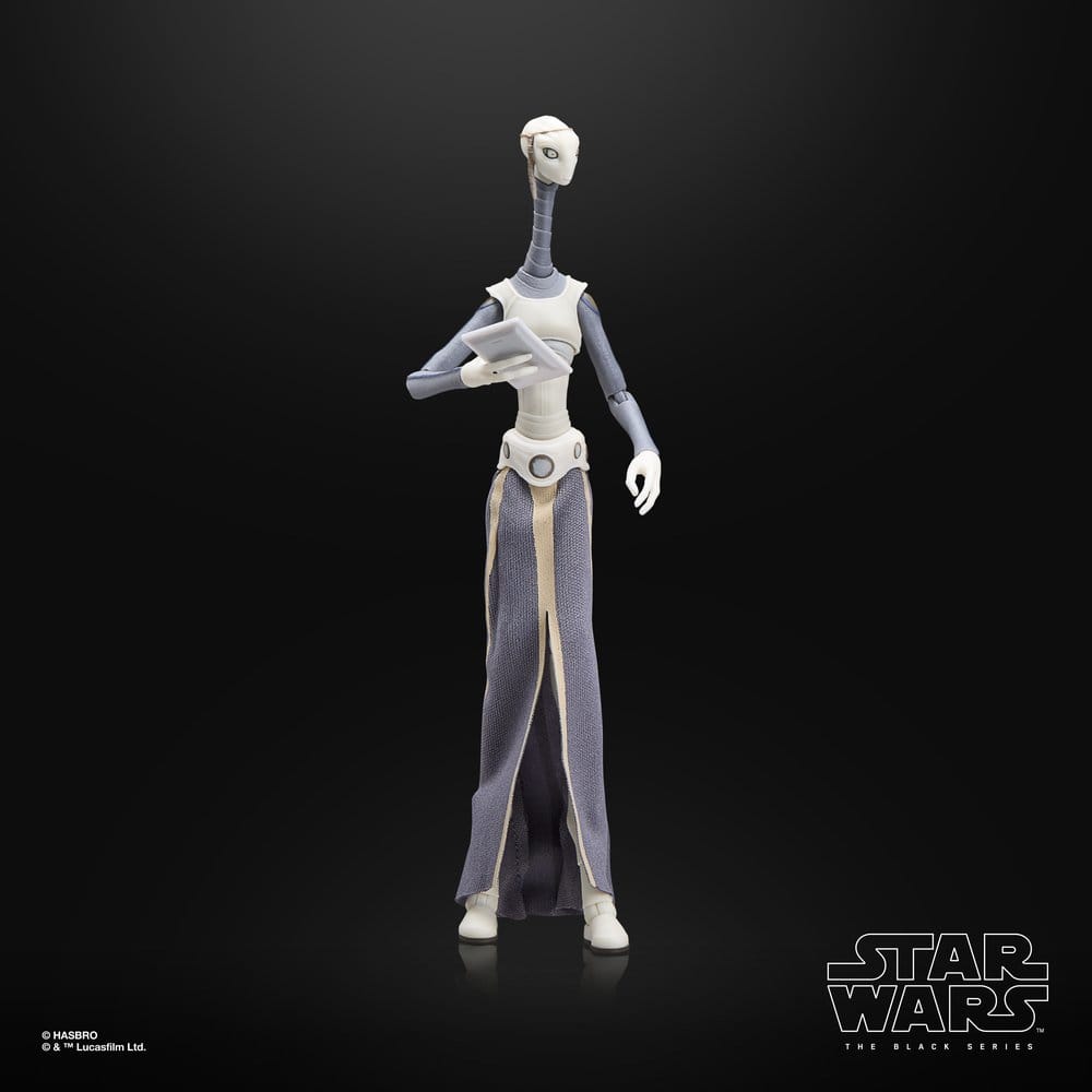 Star Wars Episode II Black Series Action Figure Taun We Hasbro
