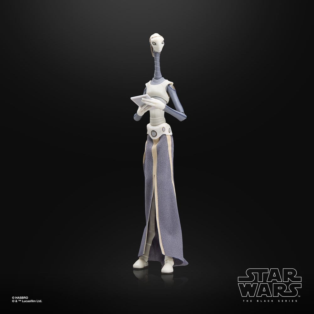 Star Wars Episode II Black Series Action Figure Taun We Hasbro