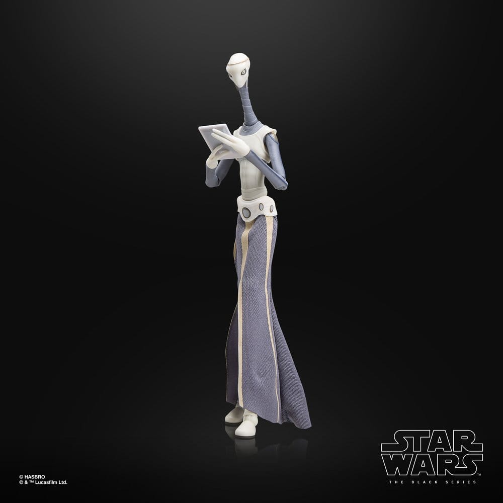 Star Wars Episode II Black Series Action Figure Taun We Hasbro