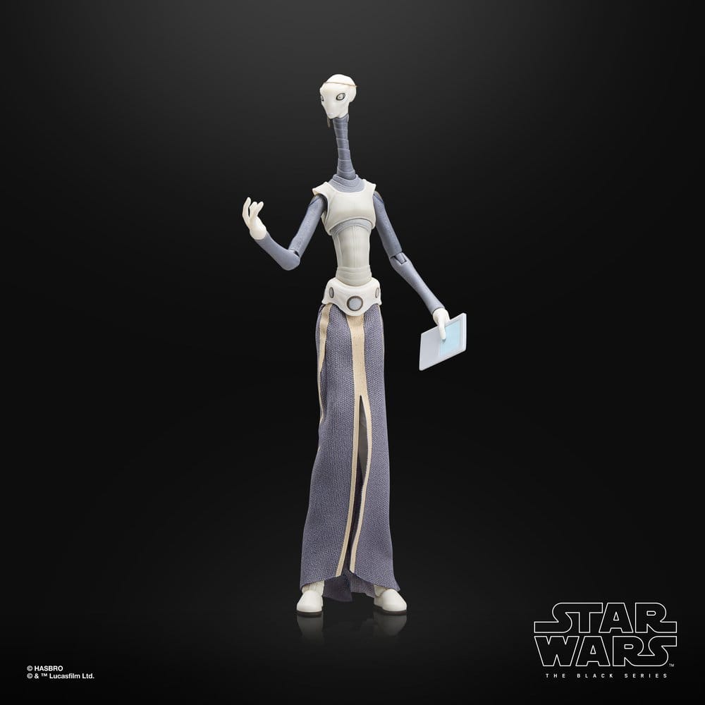 Star Wars Episode II Black Series Action Figure Taun We Hasbro