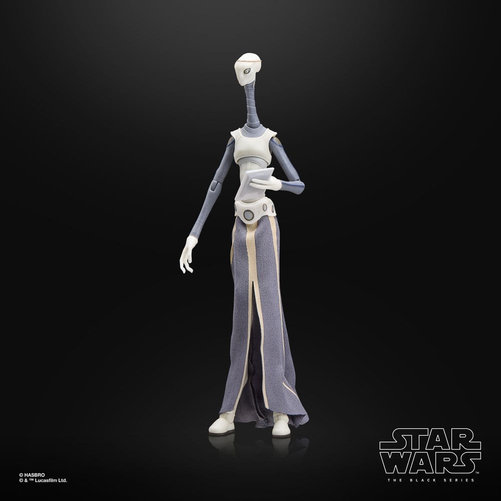 Star Wars Episode II Black Series Action Figure Taun We Hasbro