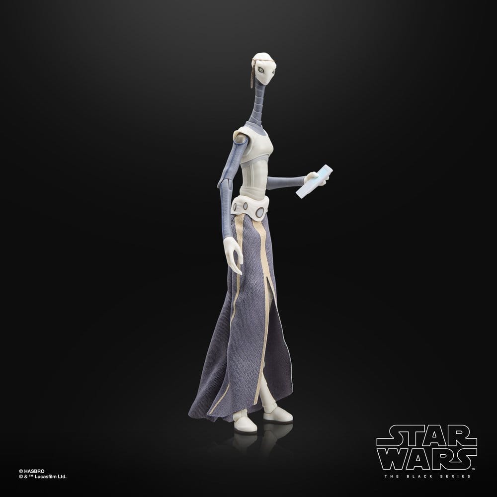 Star Wars Episode II Black Series Action Figure Taun We Hasbro