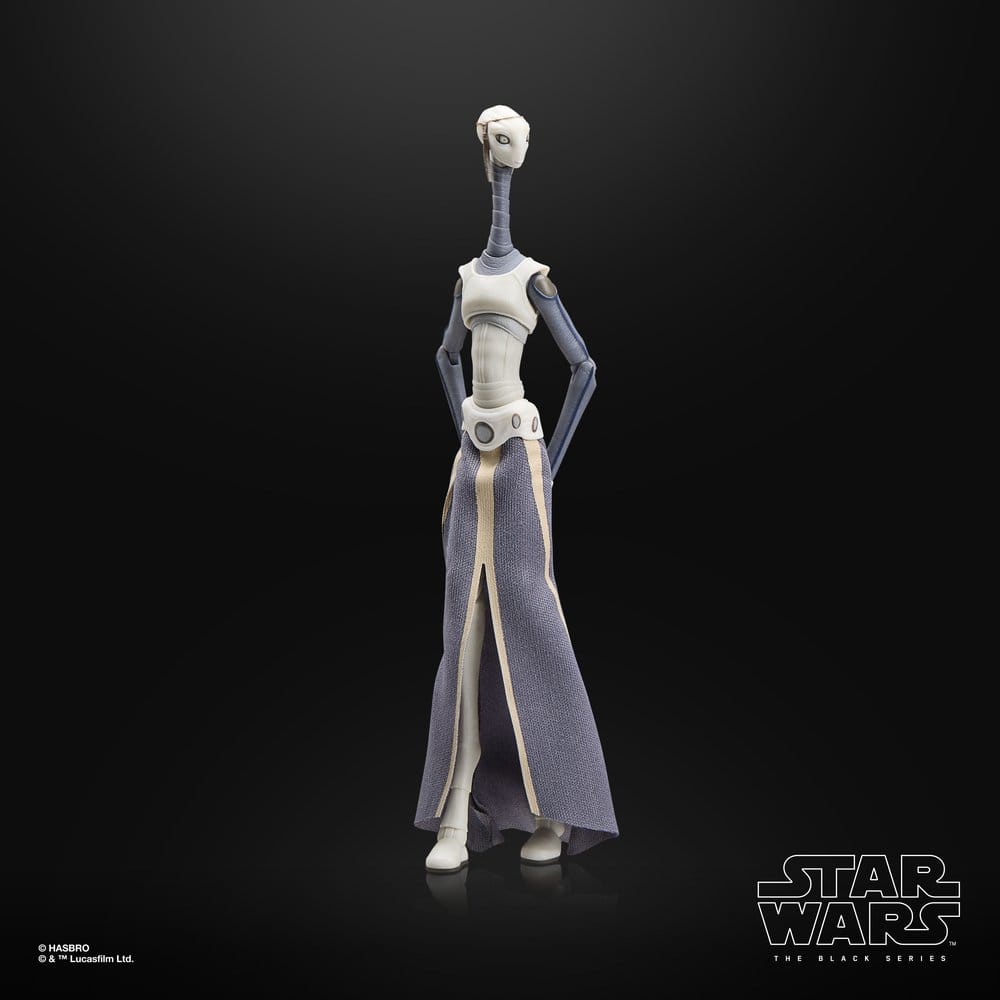 Star Wars Episode II Black Series Action Figure Taun We Hasbro