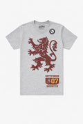 Harry Potter T Shirt Gryffindor 07 Quidditch Lion Crest Size S CID