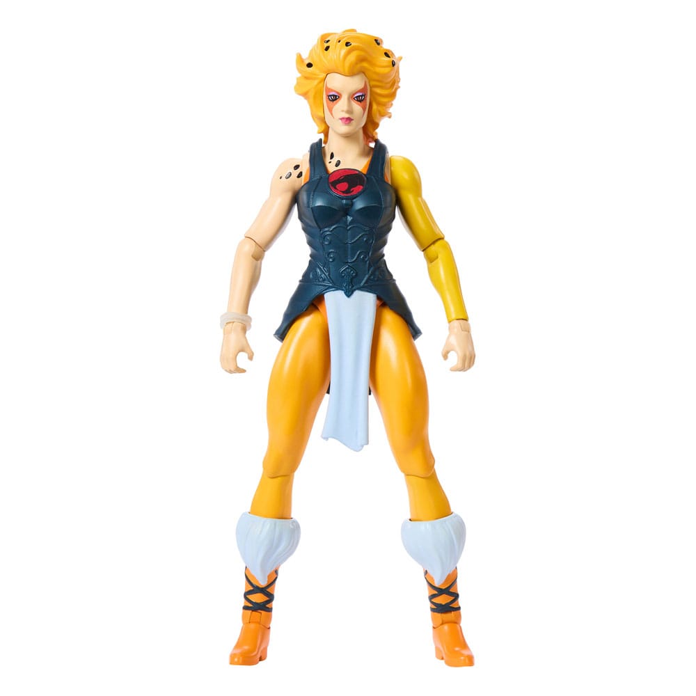 Masters of the Universe x ThunderCats Action Figure Cheetara Mattel