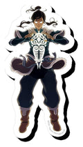 Legend Of Korra Avatar Funky Chunky Magnet NMR Distribution