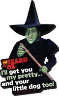 The Wizard of Oz Funky Chunky Magnet I'll Get You... Aquarius