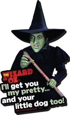 The Wizard of Oz Funky Chunky Magnet I'll Get You... Aquarius