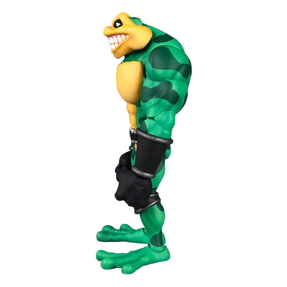 Battletoads Anthology Series Action Figure Wave 1 Zitz Premium DNA Toys