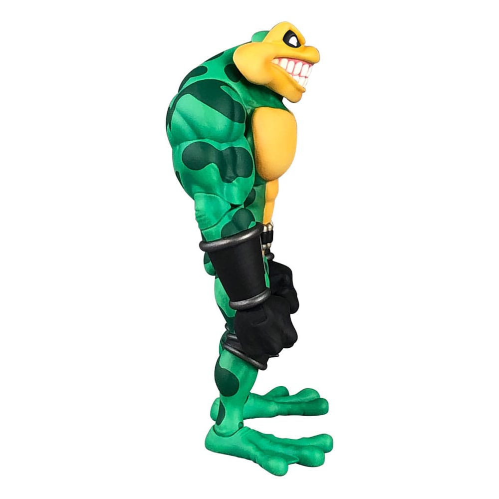 Battletoads Anthology Series Action Figure Wave 1 Zitz Premium DNA Toys