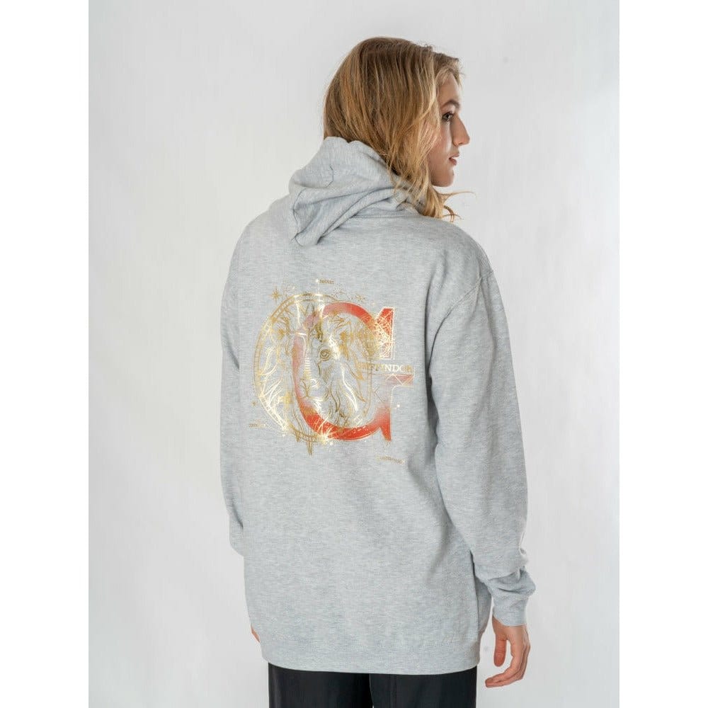 Harry Potter Hooded Sweater Gryffindor Zodiac Size M CID