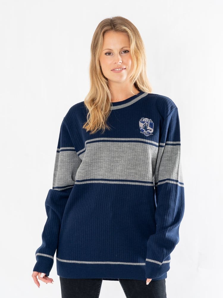 Harry Potter Sweater Ravenclaw Size S CID