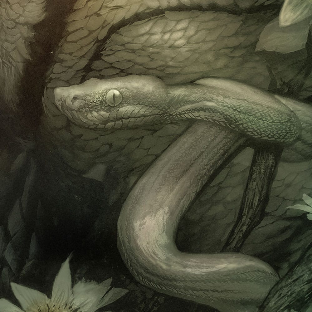 The Creature from the Black Lagoon Art Print Creature from the Black Lagoon by Dan Quintana unframed Sideshow Collectibles