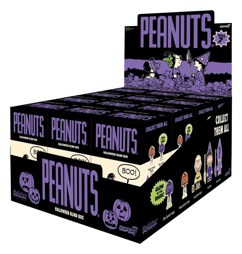 Peanuts Action Figure Blind Box Wave 7 Display 12 Super7