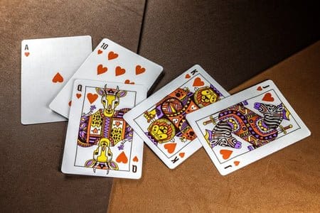Theory 11 Playing Cards Animal Kingdom Theory11