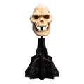 Lord of the Rings Mini Statue Skull of Lurtz Weta Workshop