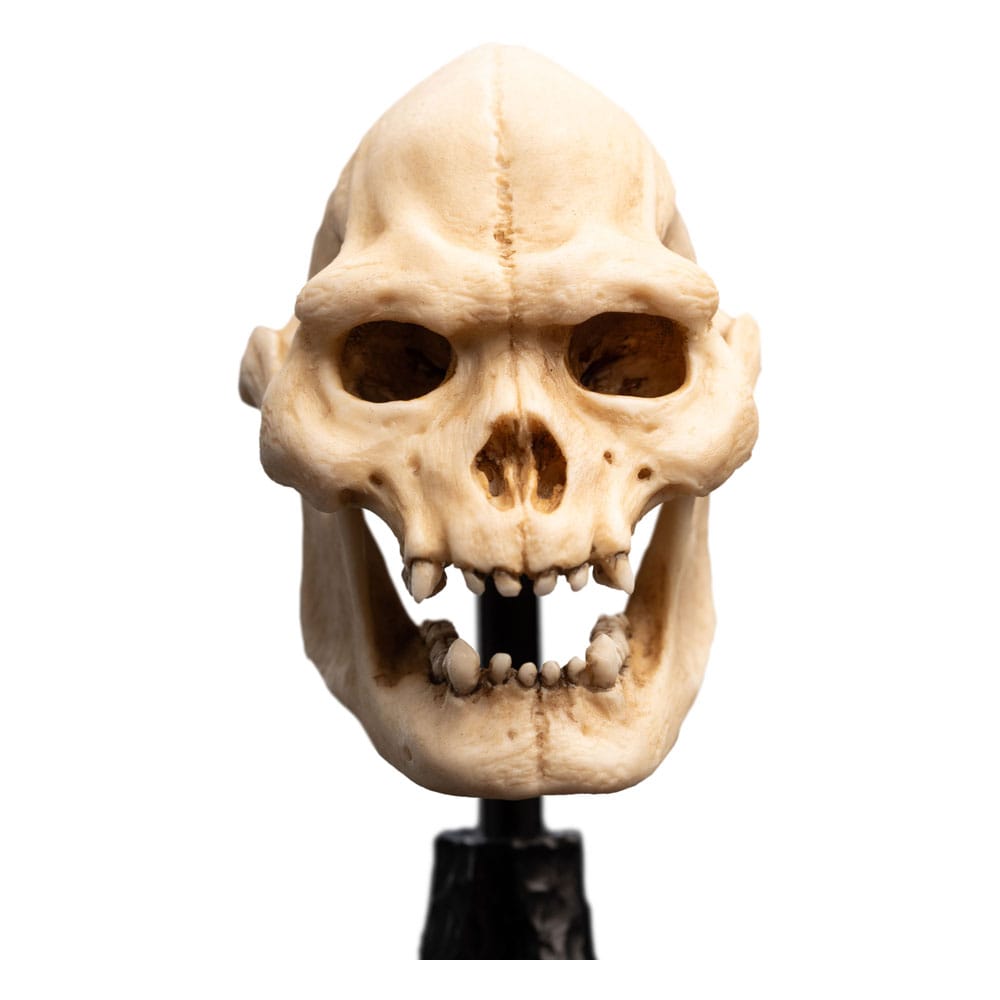 Lord of the Rings Mini Statue Skull of Lurtz Weta Workshop