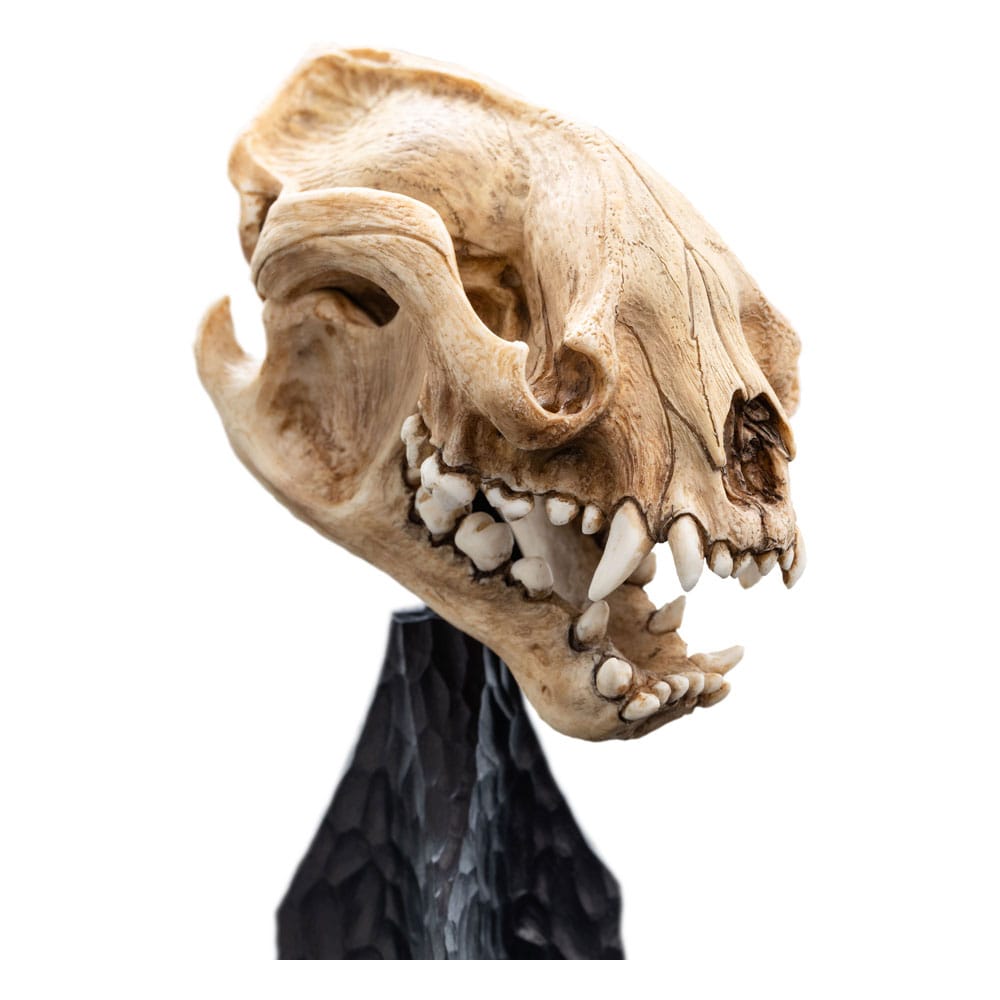 Lord of the Rings Mini Statue Skull of a Warg Weta Workshop