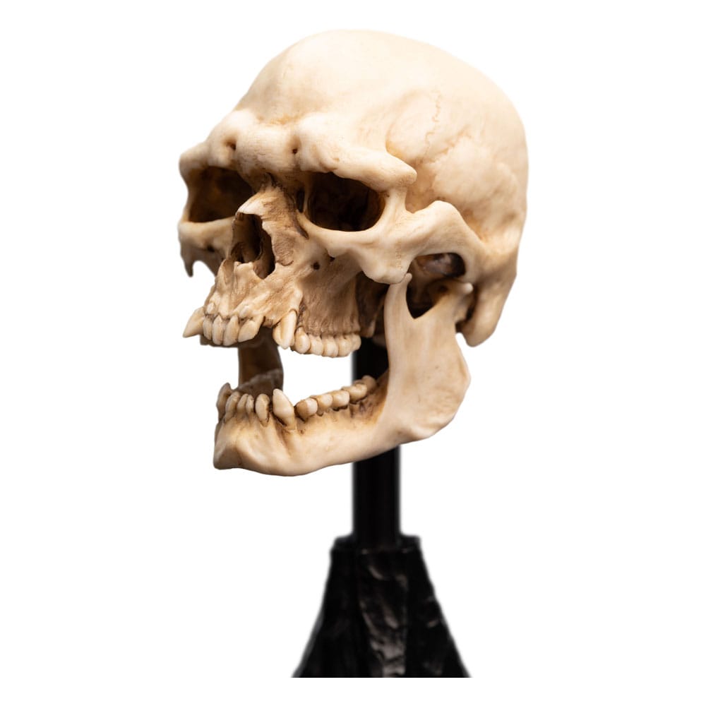 Lord of the Rings Mini Statue Skull of a Mordor Orc Weta Workshop