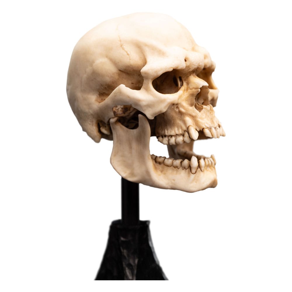 Lord of the Rings Mini Statue Skull of a Mordor Orc Weta Workshop
