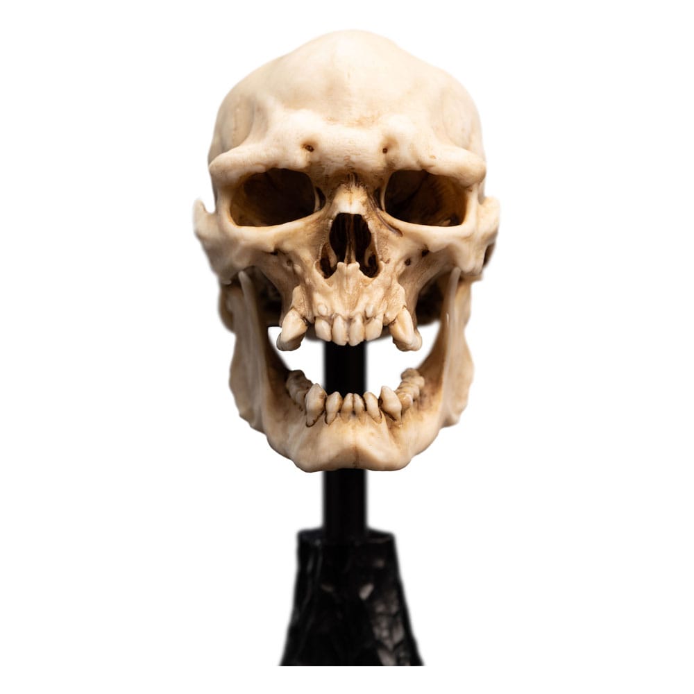 Lord of the Rings Mini Statue Skull of a Mordor Orc Weta Workshop
