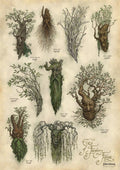 Lord of the Rings Art Print Ent's of Fangorn Forest Weta Workshop